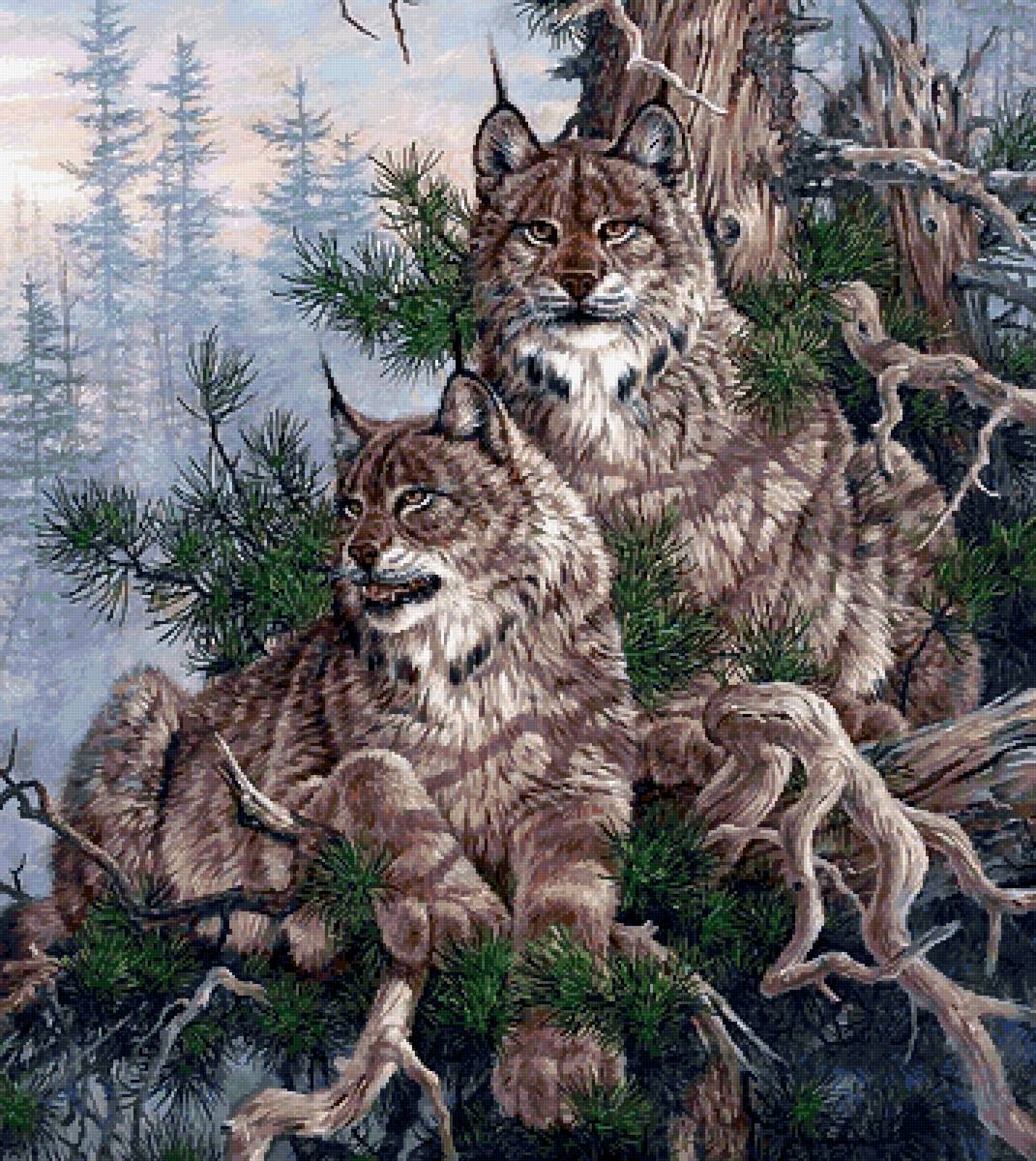 №2547753 - животные, рыси - предпросмотр