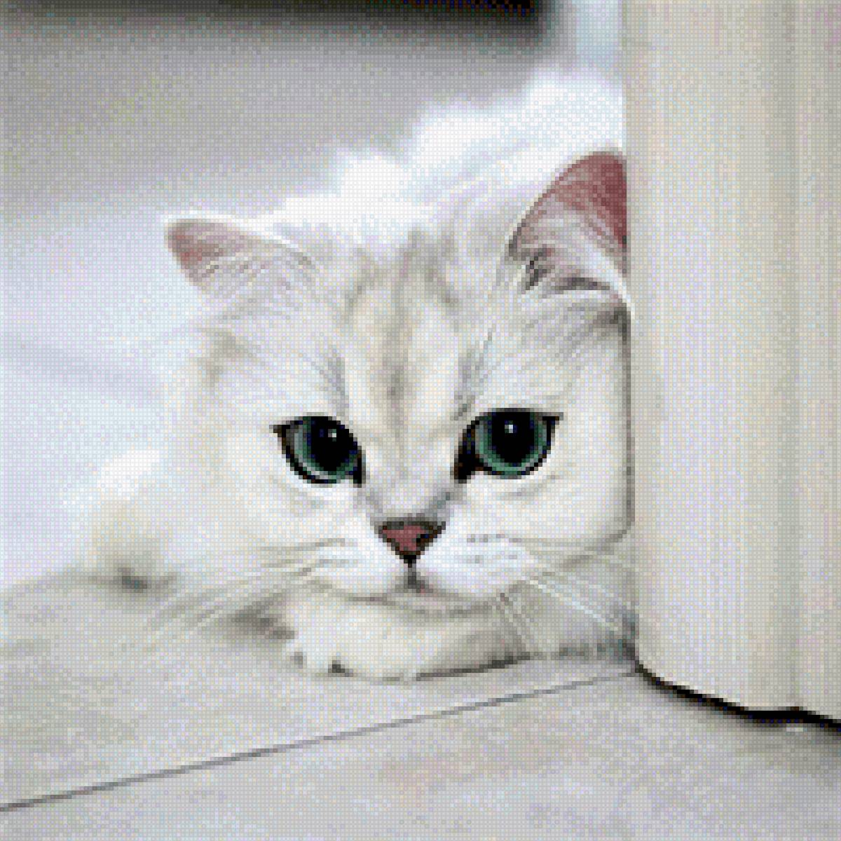 Снежок - предпросмотр