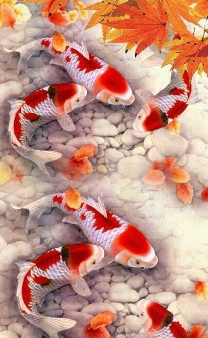 Японские рыбки - рыба, япония, озеро - оригинал