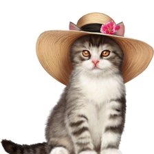 Кошка,,Мурка,,