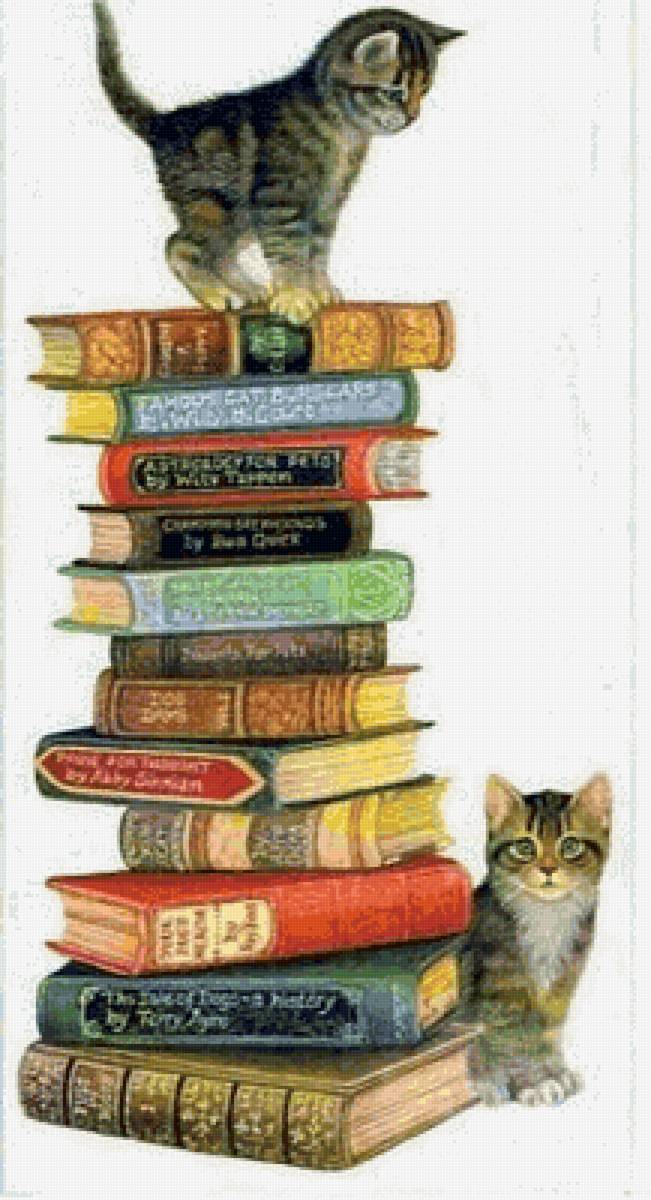 Котики и книги - коты - предпросмотр
