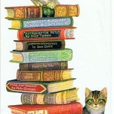 Котики и книги