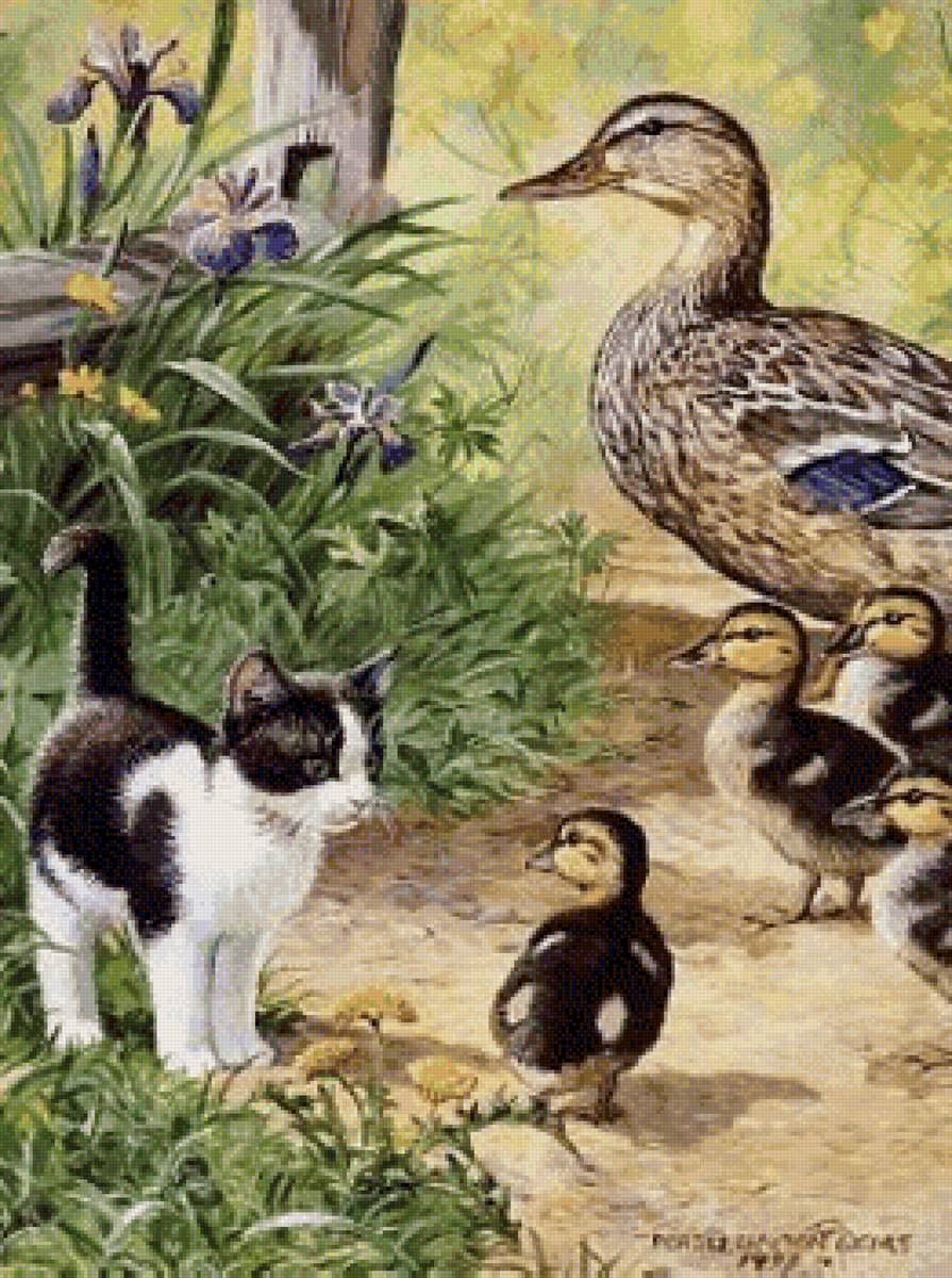 Котёнок и утенок - деревня, утки, котенок - предпросмотр