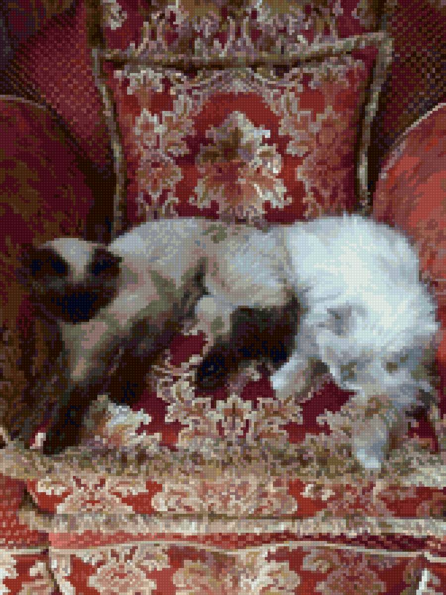 Сонное царство - кошки, французская шиншилла, кошачье семейство, сон - предпросмотр