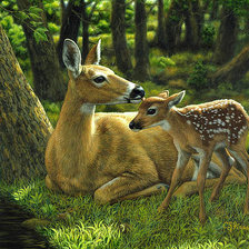 Схема вышивки «№2548093»