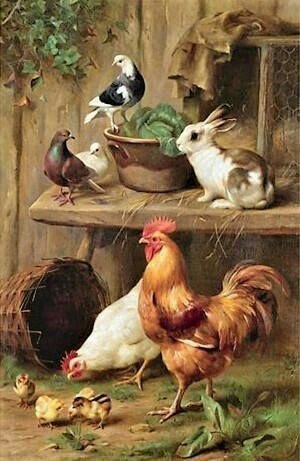 Деревня - деревня, животные, петух - оригинал