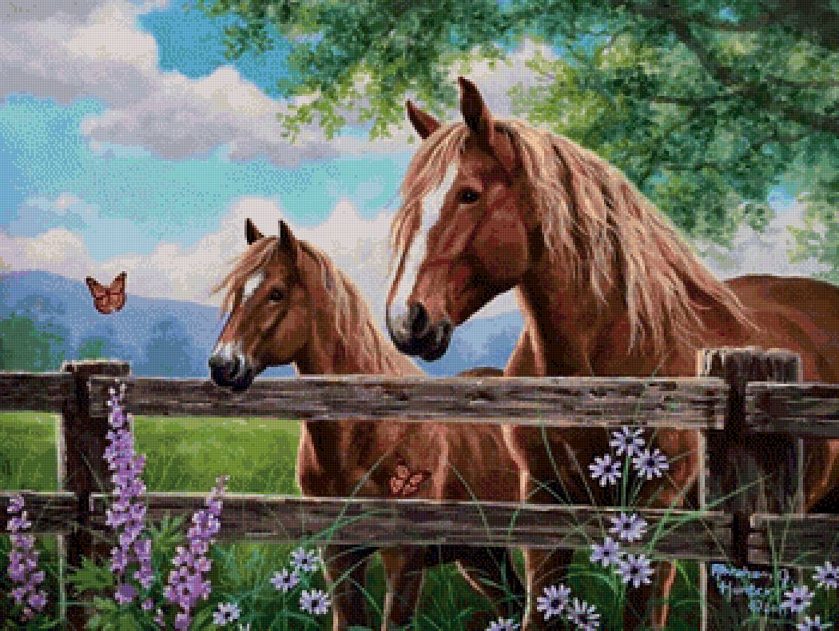 Лошадь - природа, животные, лошадь - предпросмотр