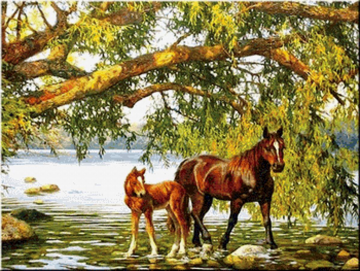 Лошадки - природа, лошадь, животные - предпросмотр