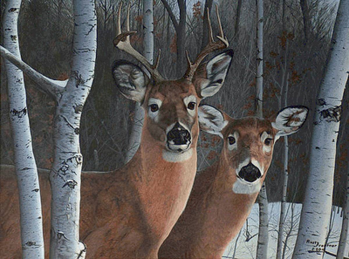 №2548288 - предпросмотр