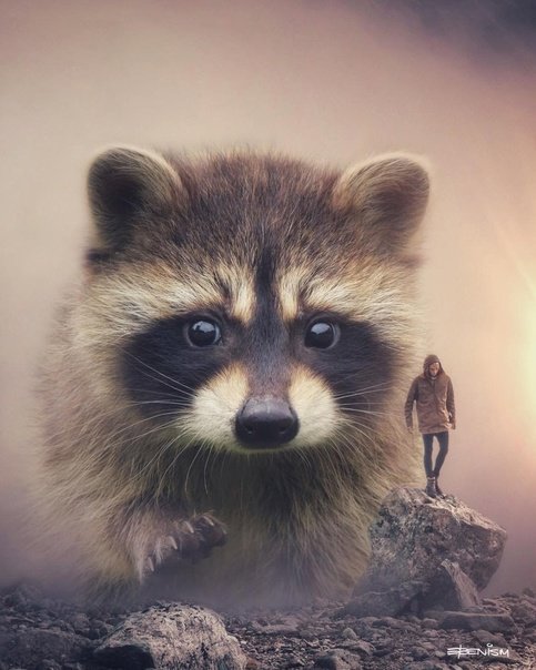 По жизни? - люди, животные - оригинал