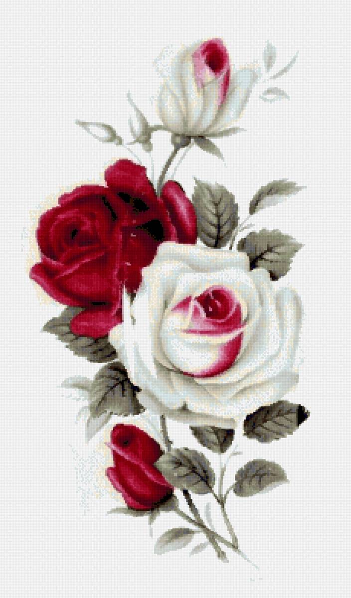 Розы - цветы - предпросмотр