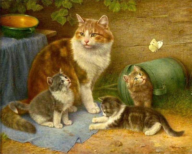 Кошачье семейство - кошки - оригинал