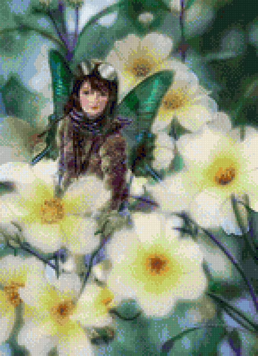 Феички - предпросмотр