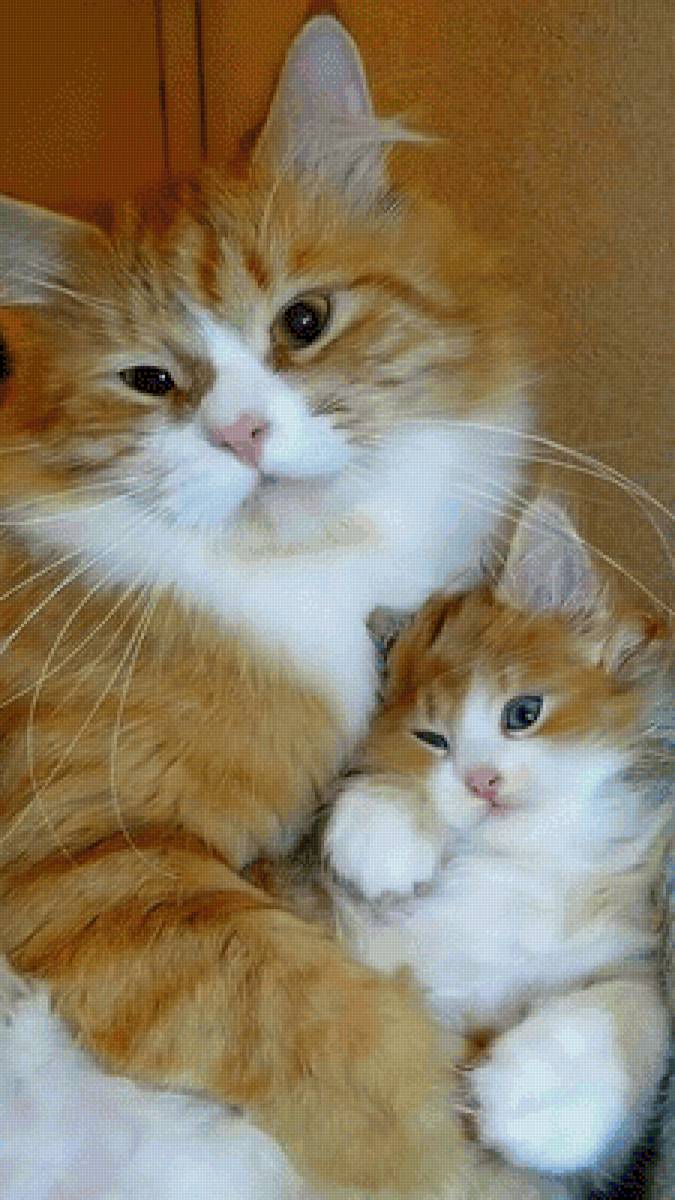 №2548692 - предпросмотр