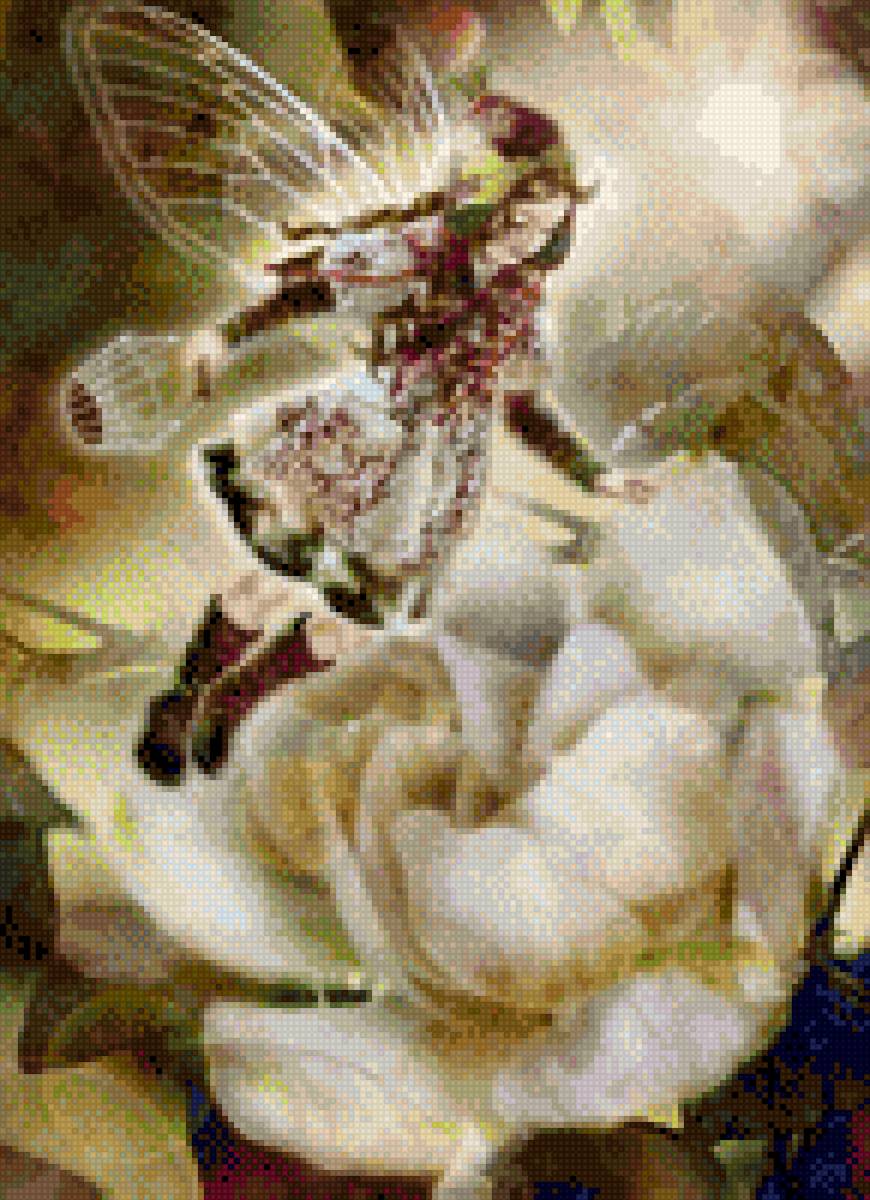 Феички - предпросмотр