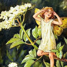 Схема вышивки «№2548865»