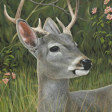 Схема вышивки «№2549031»