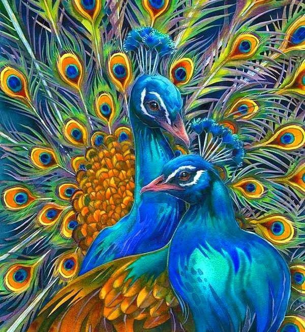 PAVOS REALES - оригинал