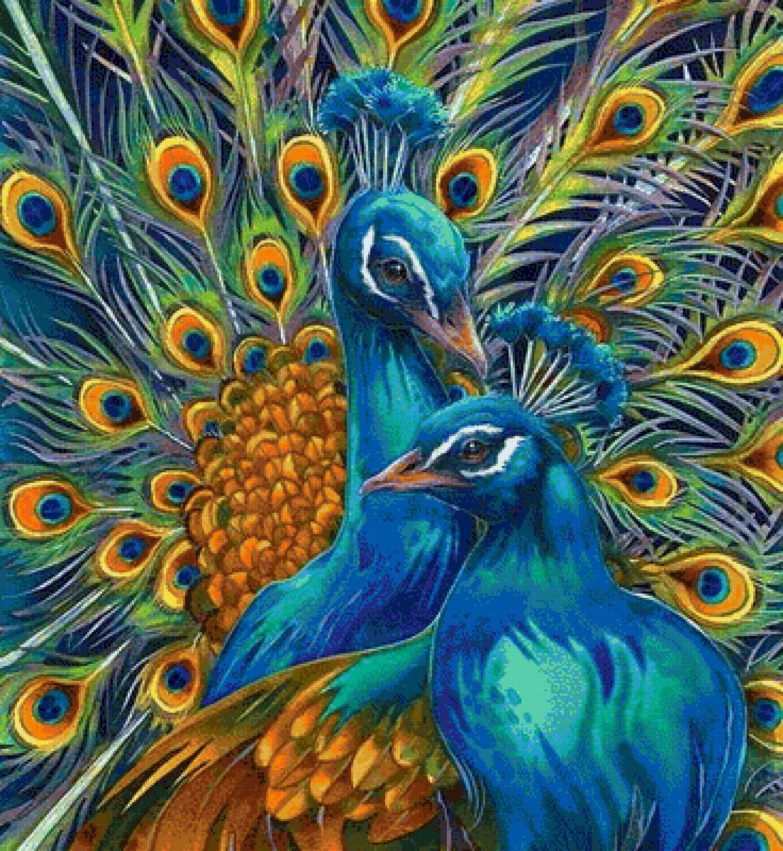 PAVOS REALES - предпросмотр