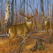 Схема вышивки «№2549379»