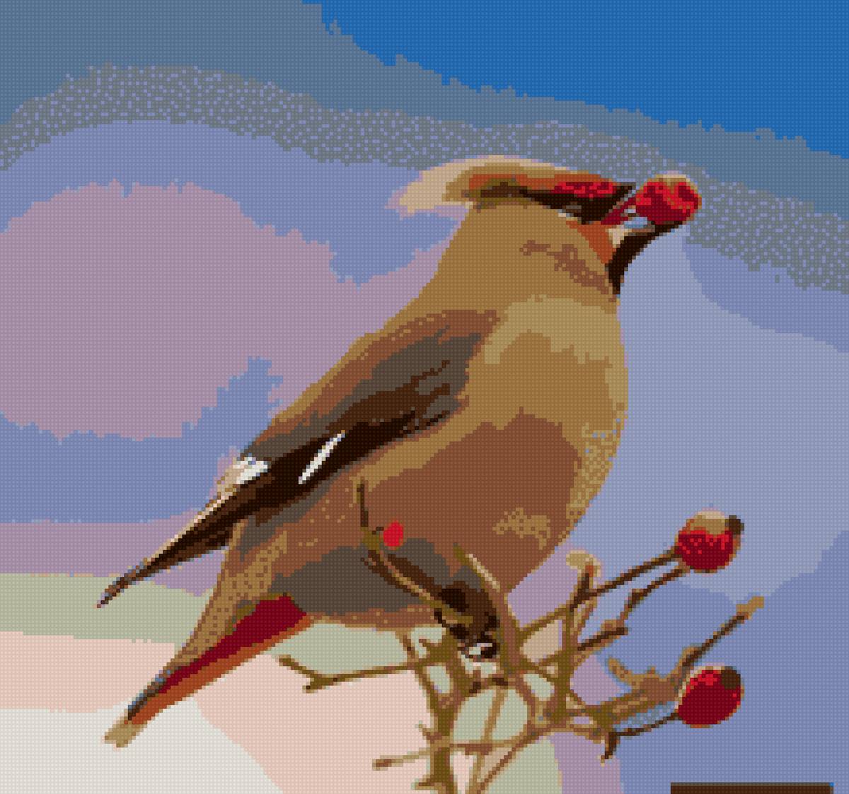 Свирестель - птица, сверестель - предпросмотр