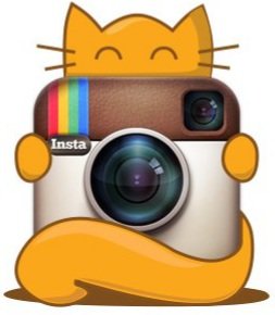 №2549575 - кот, инстаграмм - оригинал