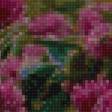 Предпросмотр схемы вышивки «лето, клевер, пнк» (№2549633)