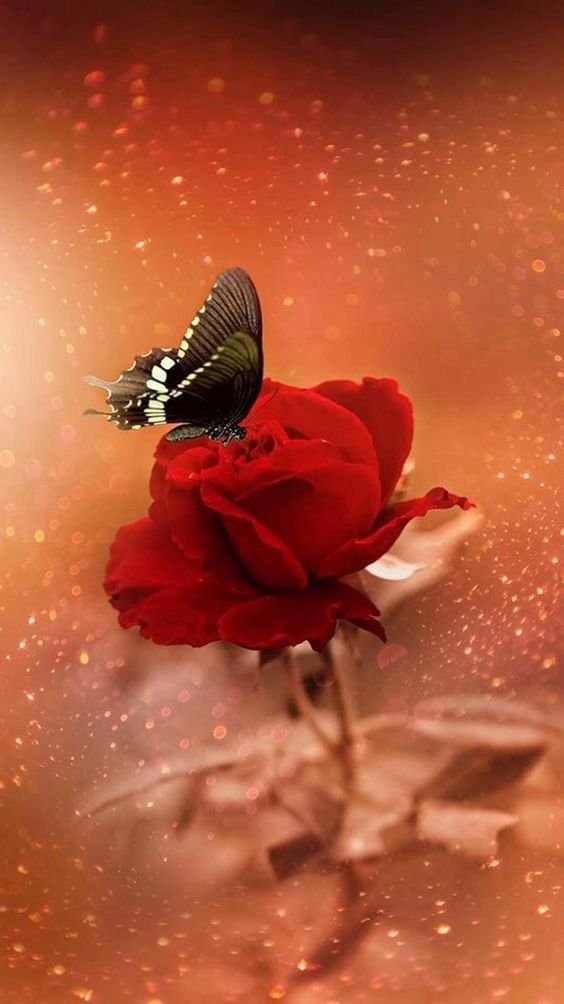 №2549889 - оригинал