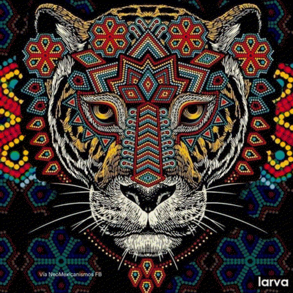 Pumas UNAM - unam - предпросмотр