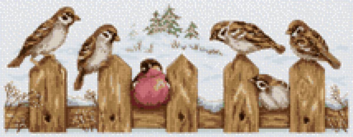 чужой среди своих - птицы, воробьи - предпросмотр