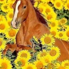 Схема вышивки «№2550140»