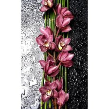 Оригинал схемы вышивки «орхидея» (№2550198)