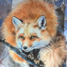 Схема вышивки «лиса»