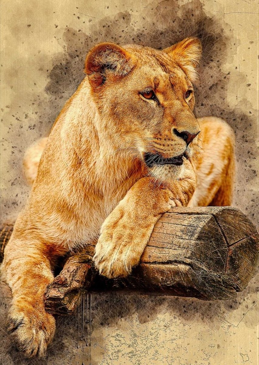 leaona - naturaleza - оригинал