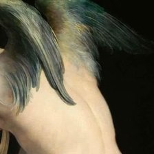 Схема вышивки «№2550835»