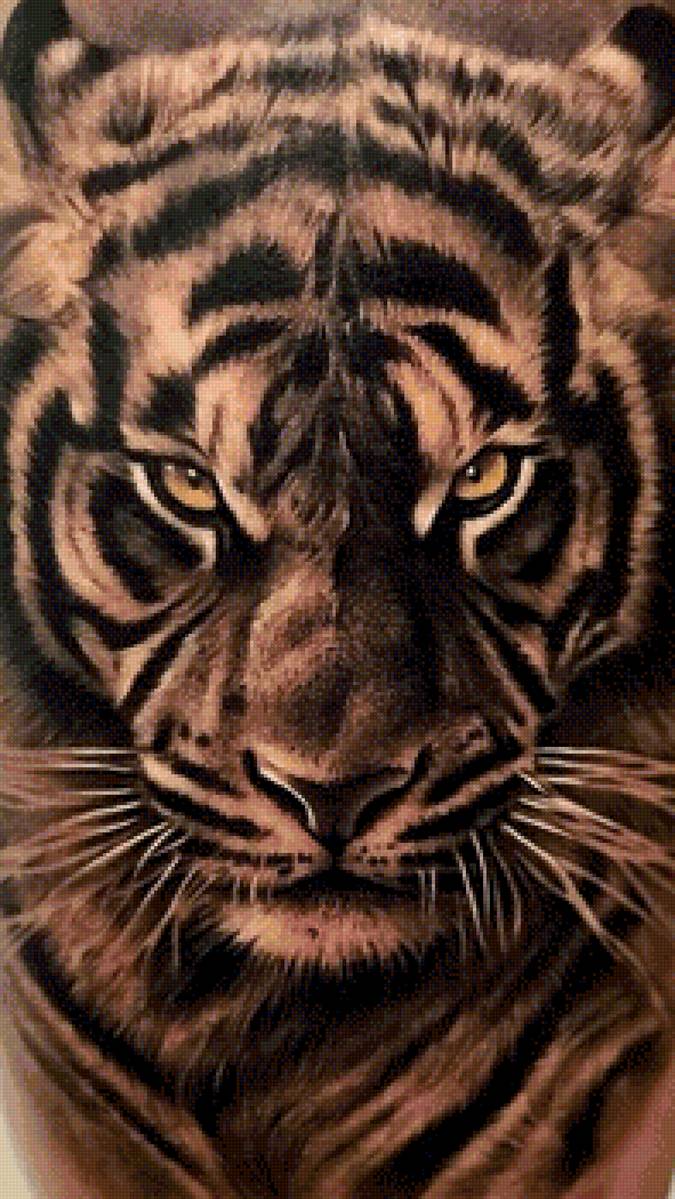 Тигр - животные, тигр, хищник - предпросмотр