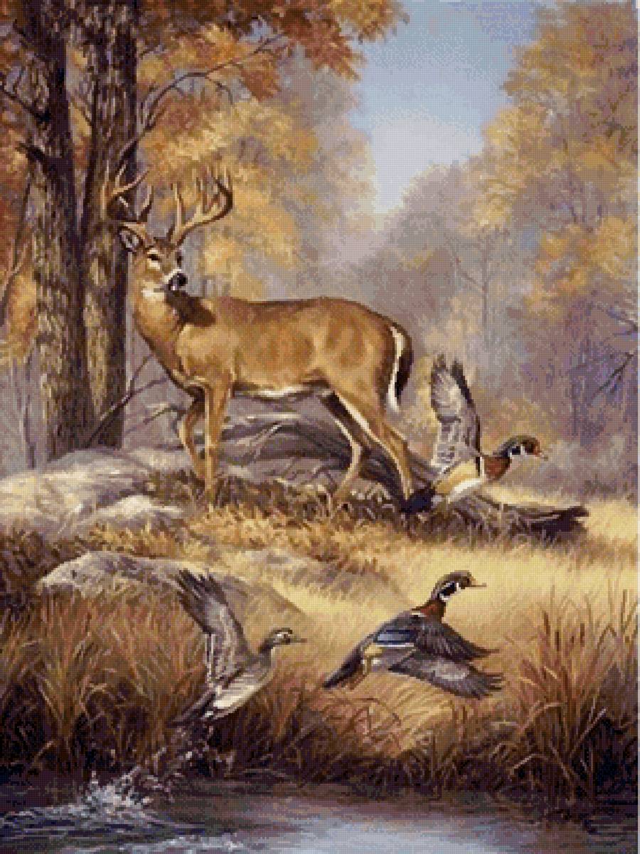 №2551034 - природа, животные, пейзаж - предпросмотр