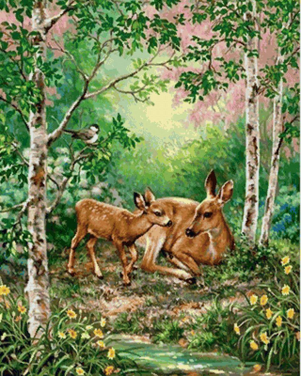 №2551161 - олени, природа, животные, пейзаж - предпросмотр