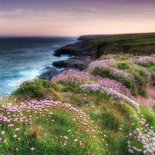 Схема вышивки «№2551217»