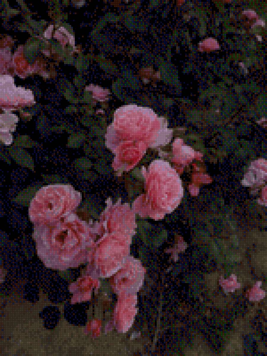 Тёмный сад - сад, розы - предпросмотр