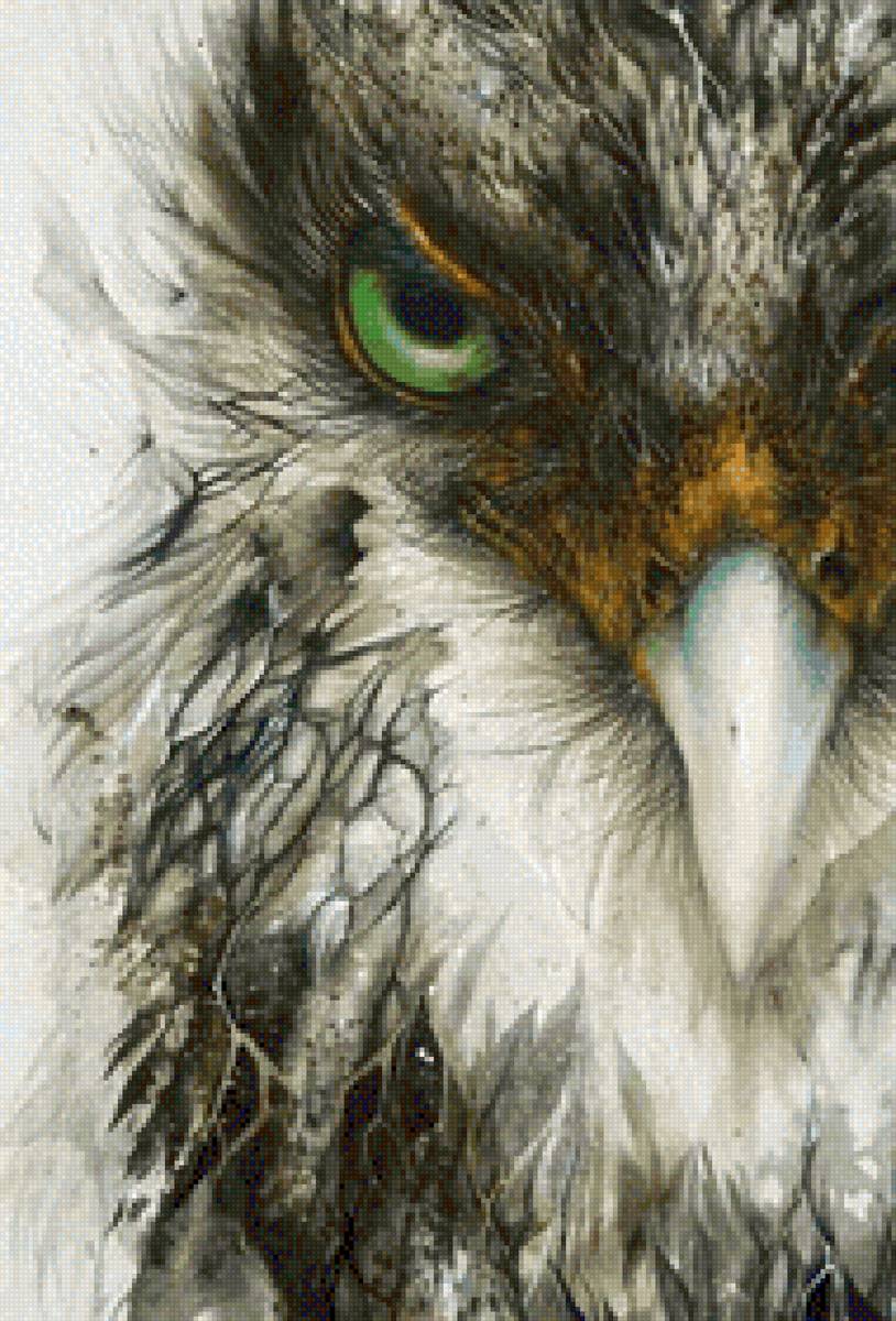 Интересная птица - птица, животные - предпросмотр