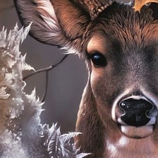 Схема вышивки «Краса леса»