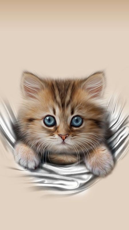 Котёнок - котенок - оригинал