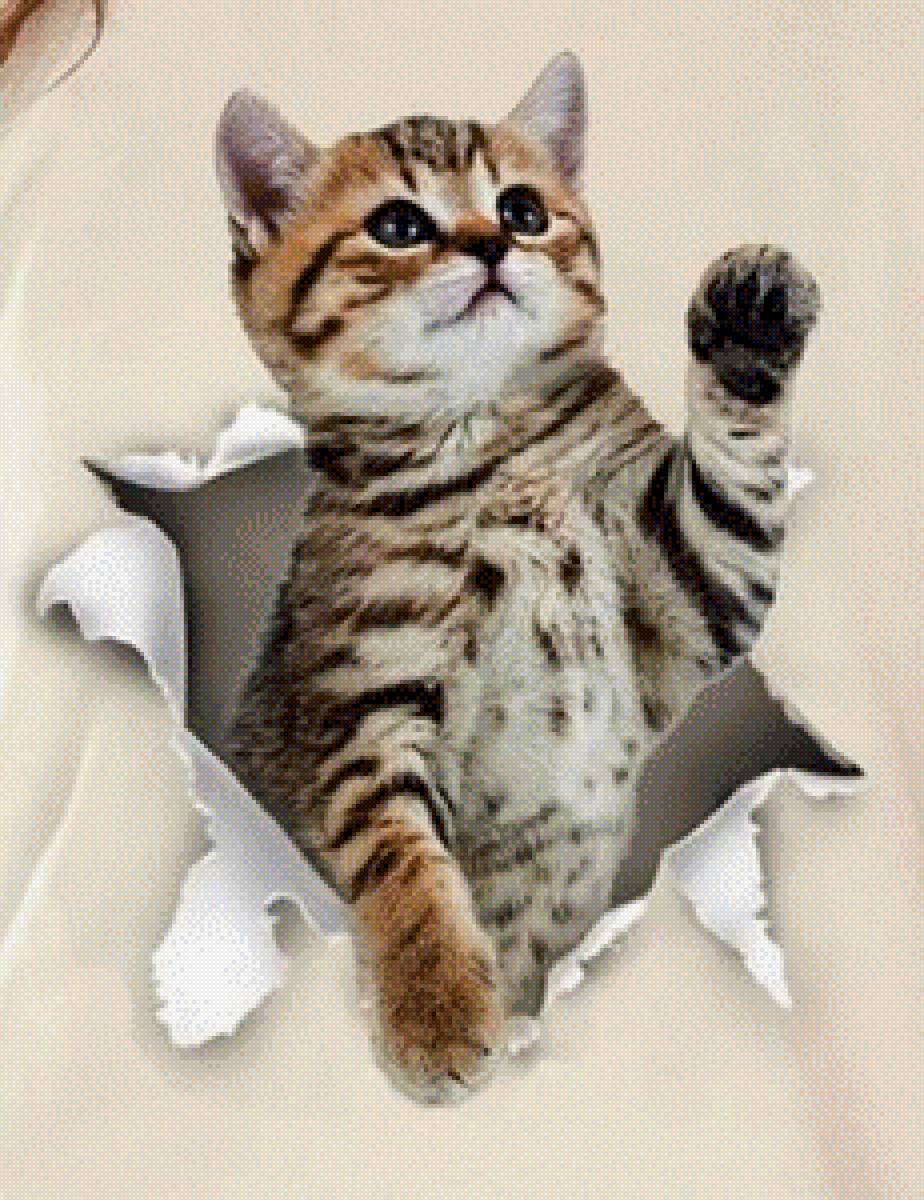 А,вот и я - кот 🐱 - предпросмотр