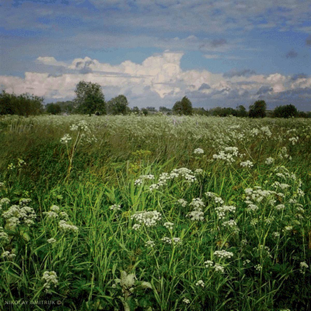 На лугу - трава, природа, луг, лето - предпросмотр