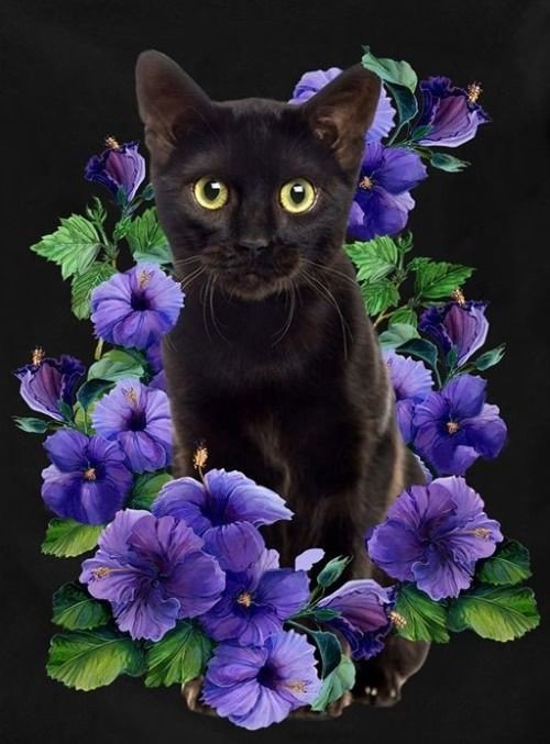 №2552379 - оригинал