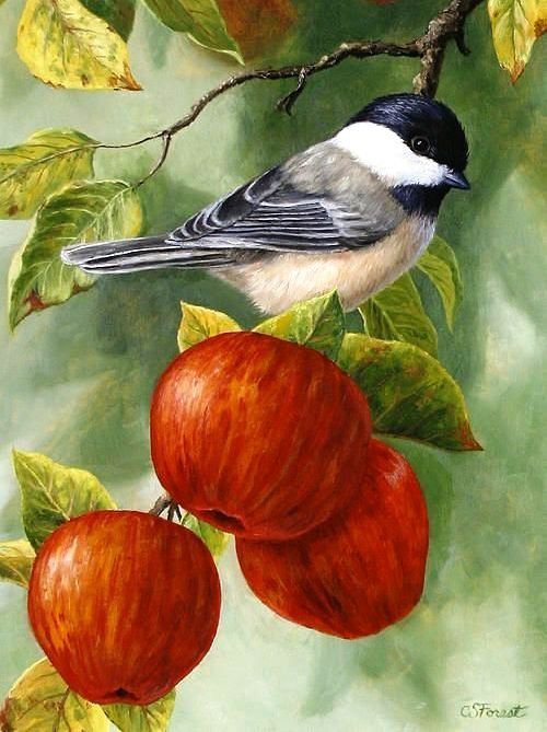 Птичка и яблоки - яблоки, до 190, птичка, ветка яблони - оригинал