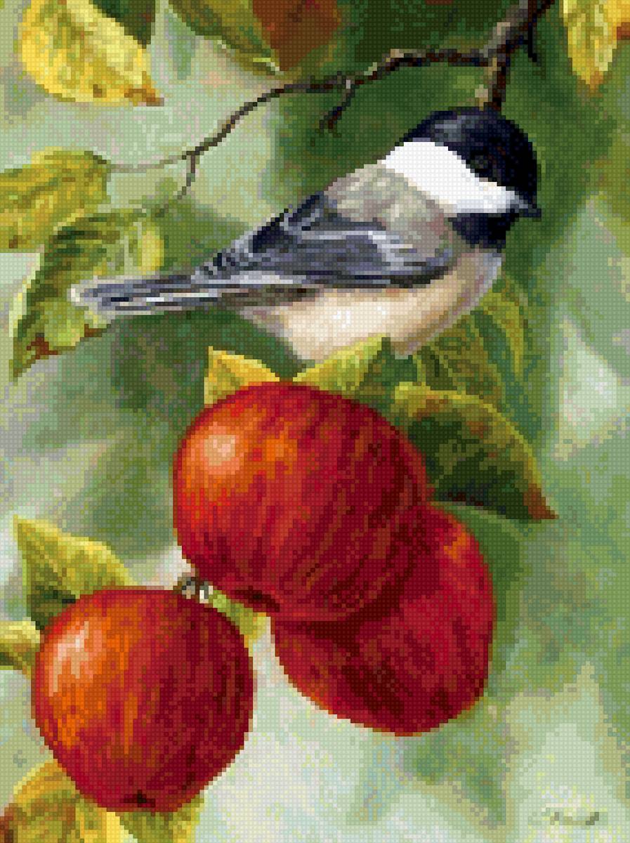Птичка и яблоки - ветка яблони, яблоки, до 190, птичка - предпросмотр