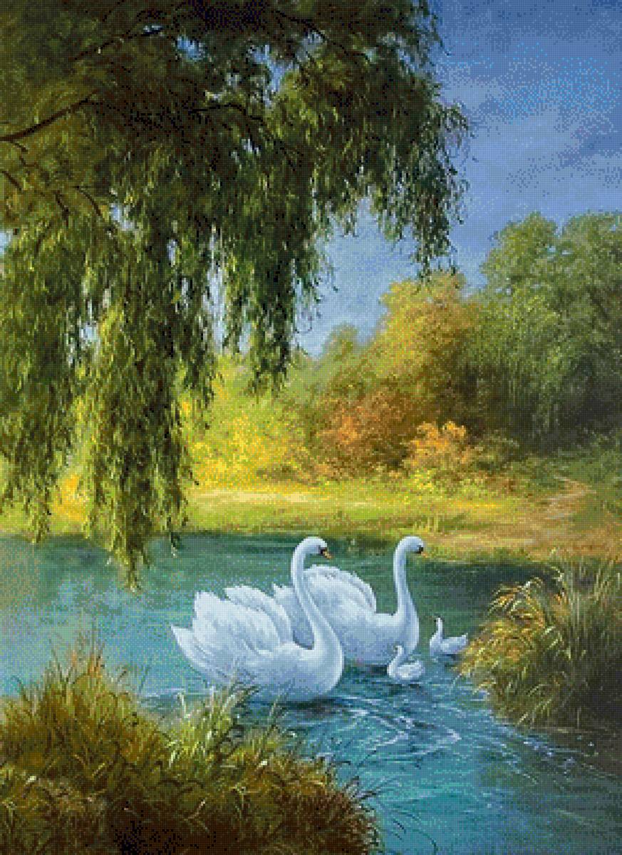 Лебеди на реке - предпросмотр