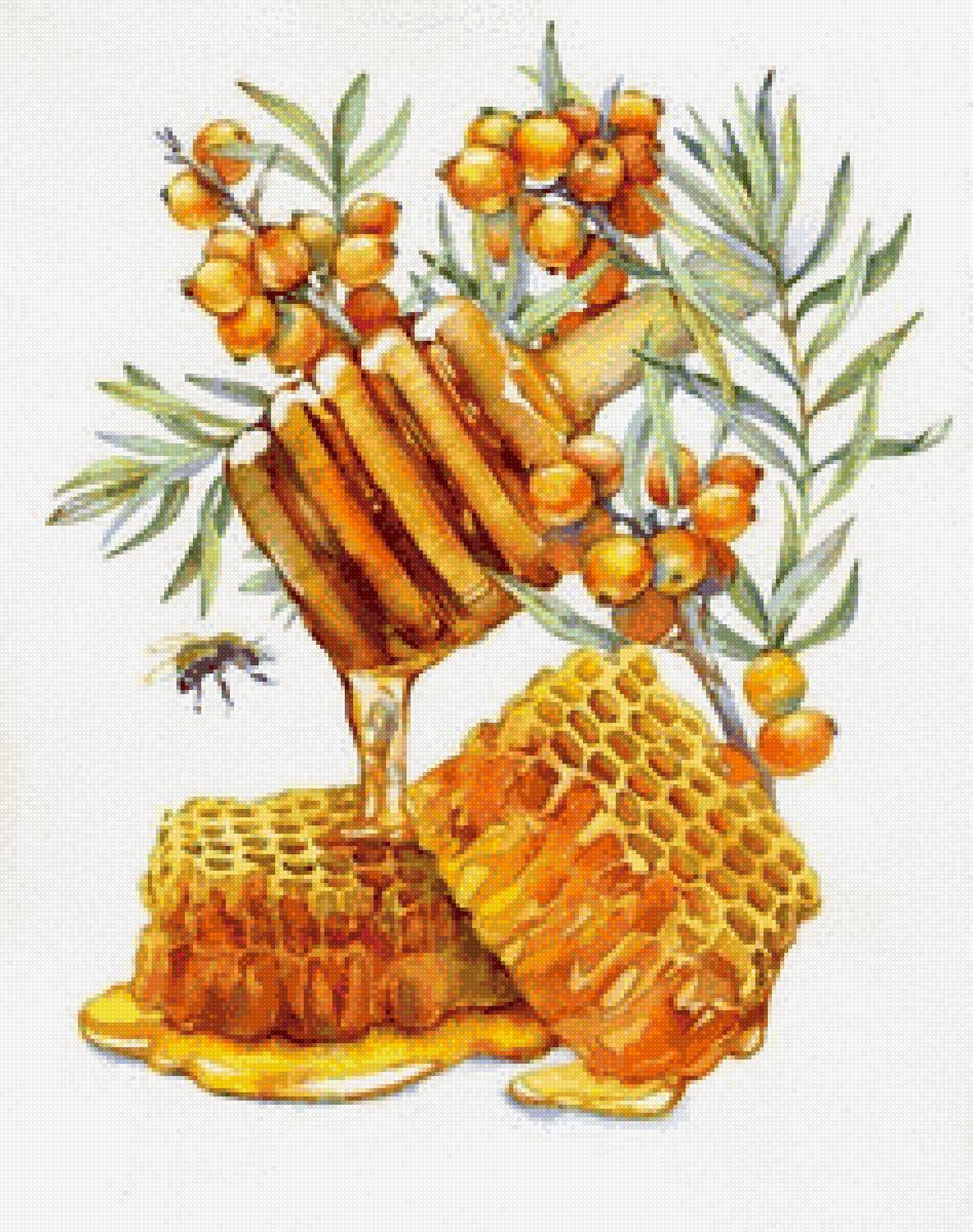 Мёд - еда, мед, ягоды - предпросмотр